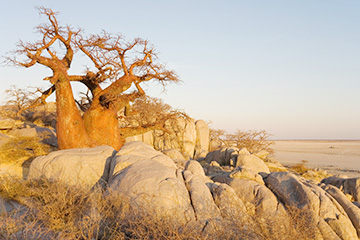 博茨瓦納卡薩內機場三字代碼(BBK),卡薩內機場(Kasane Airport)四字碼,博茨瓦納機場三字碼查詢